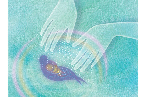 Touch illustration 2