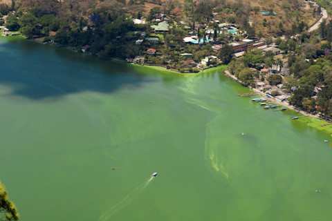 Lake Amatitlán