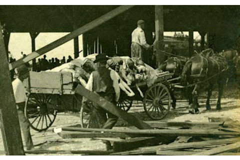 dead bodies hurricane galveston texas natural disaster