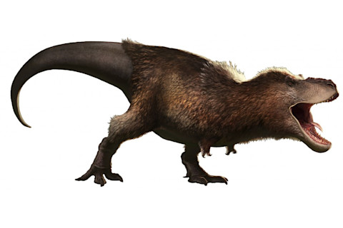Tyrannosaurus rex with feathers - Wikimedia Commons