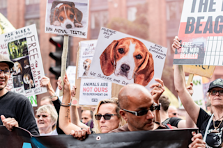 Animal rights march