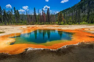 Yellowstone