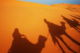 Desert caravan