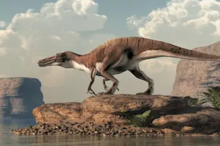 Spinosaurid