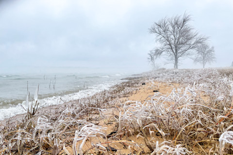 Cold snap