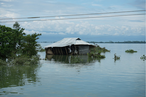 Flood