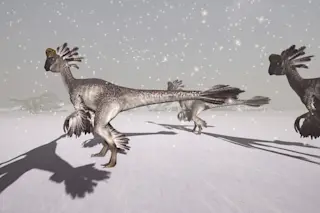 Cold dinosaurs