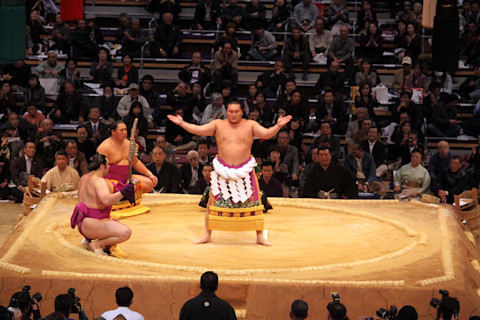 Sumo wrestling