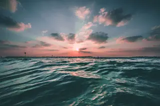 joseph-barrientos-oQl0eVYd n8-unsplash