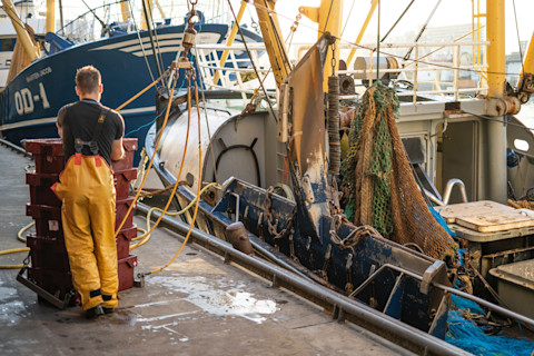 paul-einerhand-JFOG2KEZSMs-unsplash