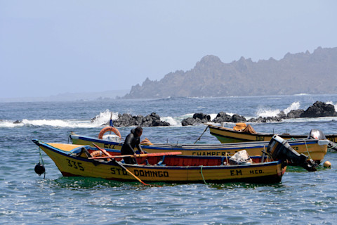 Whale watching