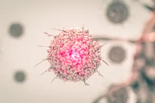 Cancer cell