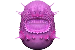 Microbe