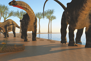 Illustration of a herd of Apatasaurus dinosaurs