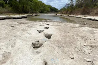 Paluxy River Dinosaur Tracks 