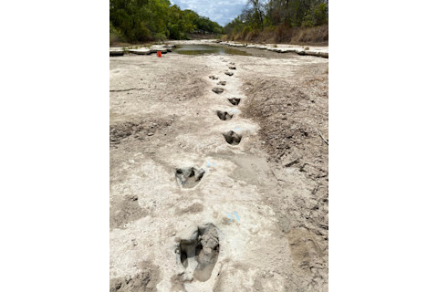 Paluxy River Dinosaur Tracks