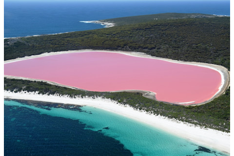 Pink Lake, Lake Hillier