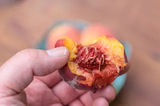 peach pit