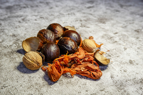 shutterstock 1823234663