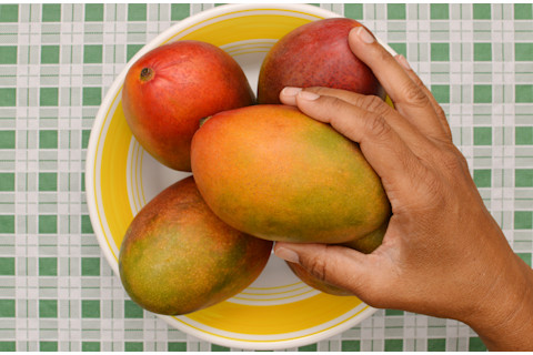 Mango