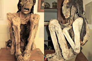 Mummies