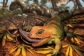 Opisthiamimus