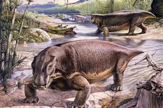 C0354174-Lystrosaurus therapsids, illustration
