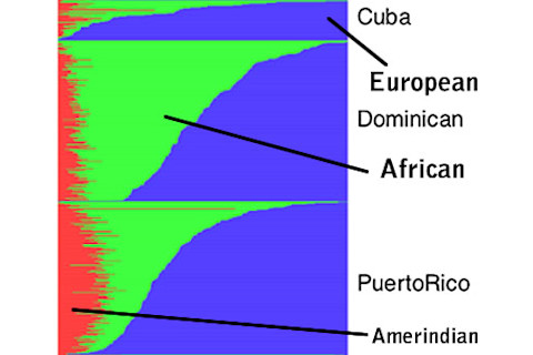 journal.pgen_.1002640.g0021