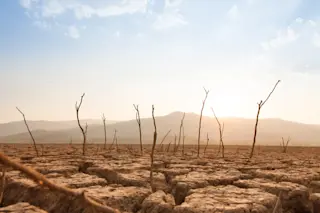 Mass extinction