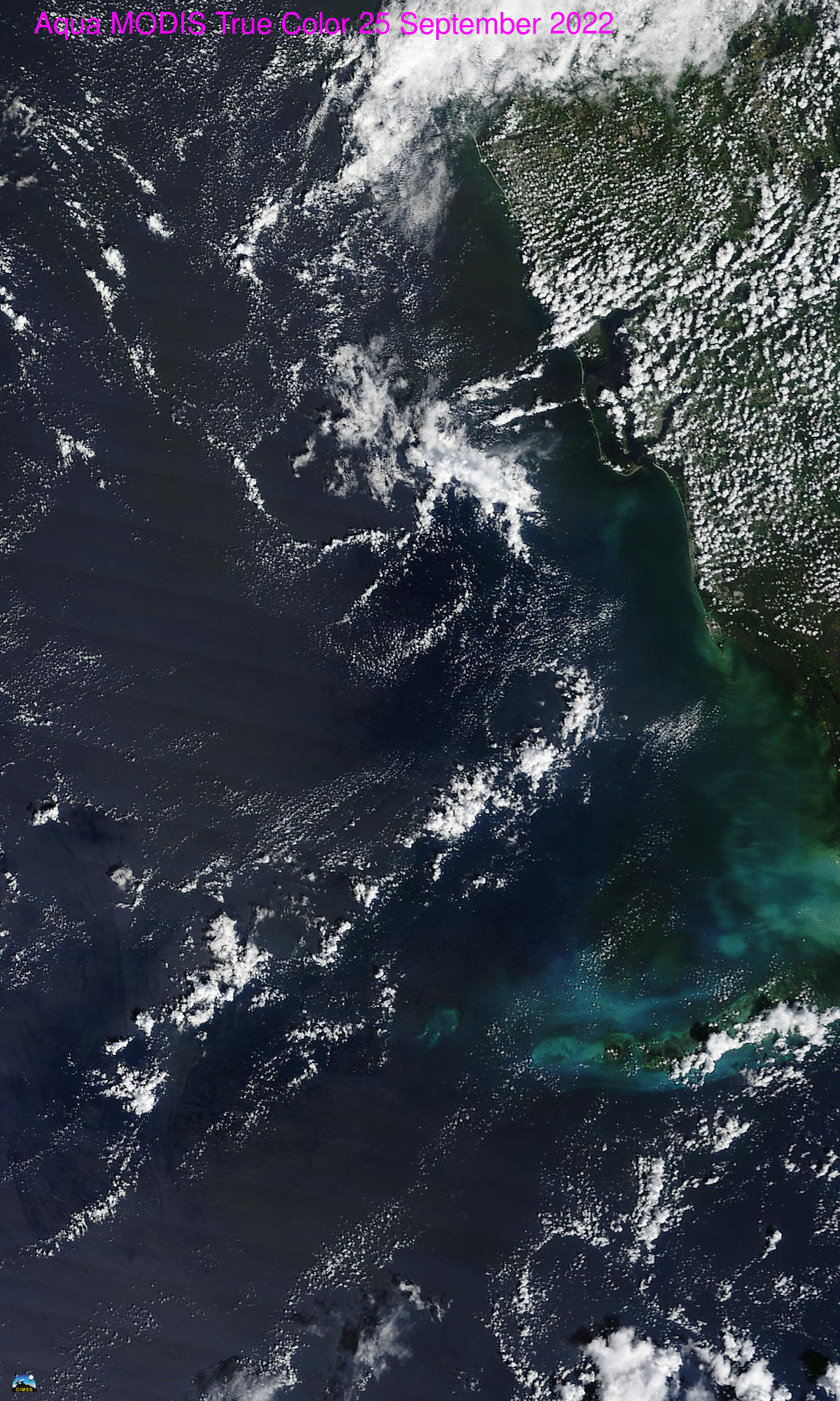 Hurricane Ian Aftermath Animation