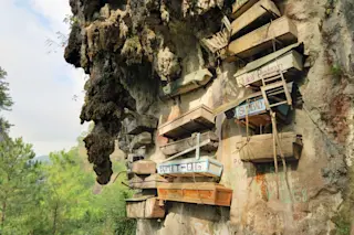 Hanging coffins