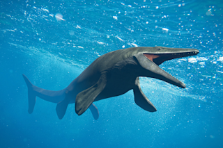 Mosasaur