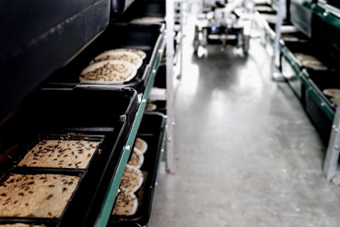 cricket bin - Aspire Food Group