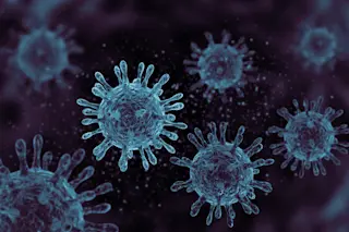 Virus