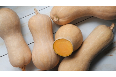 butternut squash