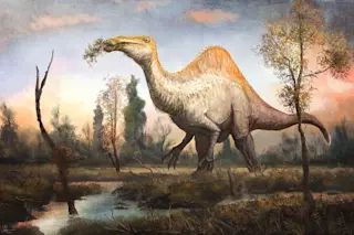 Deinocheirus, genus of large ornithomimosaur