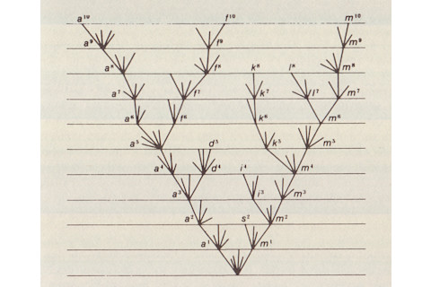 Origin of Species illustration cropped