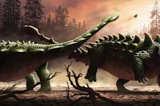 Zuul Crurivastator in Battle
