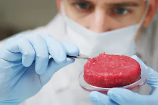 Cultured meat