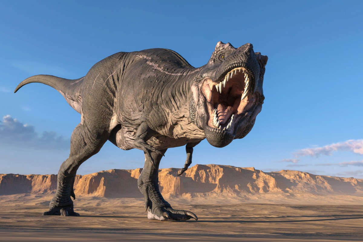 New Dinosaur Species Could Explain Tyrannosaurus Rex Evolution 
