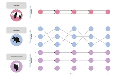 (Credit: Roberts and Stewart 2018)