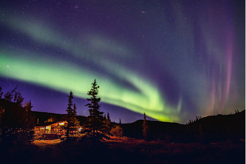 northern lights appear in cloudless, starry night sky over remote lodge in denali national park