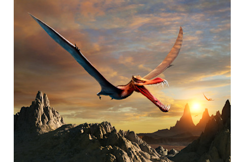 Pterosaur