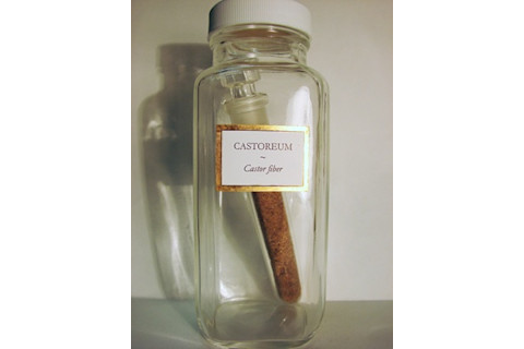 Castoreum - Maša Sinreih in Valentina Vivod