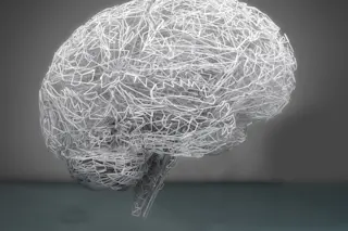 3D brain illustration