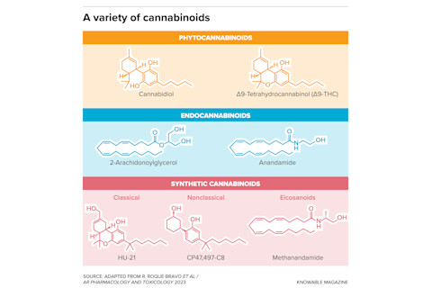 g-cannabinoid-variety-alt