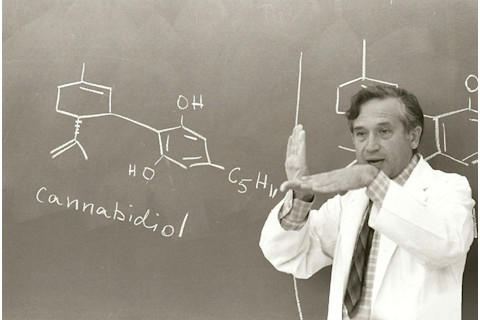 p-raphael-mechoulam-1970