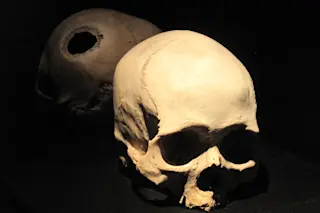 Ancient skull