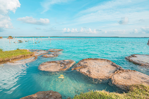 Bacalar Lagoon Stromatolites