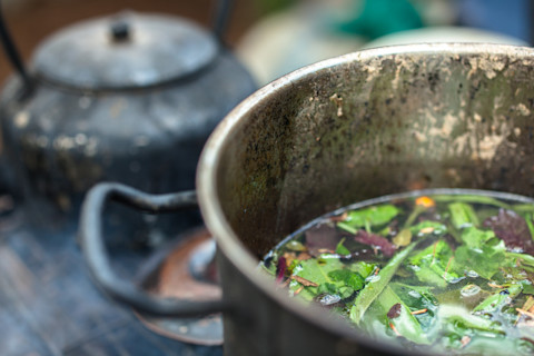 Brewing sacred ayahuasca tea amazon